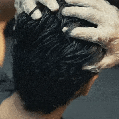 Shampoo Color Negro Instantáneo (3 en 1)